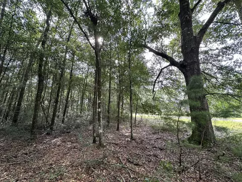 lot D Pineforest Dr, Crestview, FL 32539