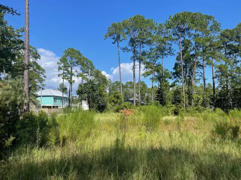 00 E Ann St, Santa Rosa Beach, FL 32459