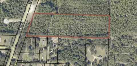 12 Acres Hwy 85 #LOT 1, Laurel Hill, FL 32567