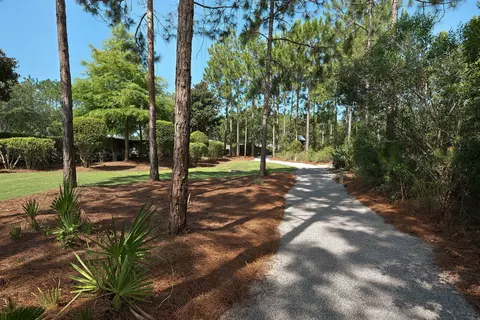 View/Area - 290 Windrow Way, Watersound, FL 32461 photo 12 of 25