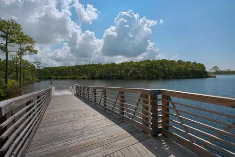 View/Area - 290 Windrow Way, Watersound, FL 32461 photo 22 of 25