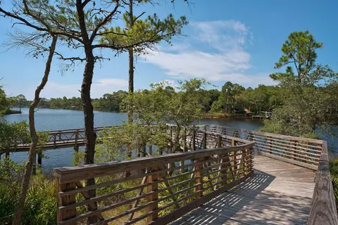 View/Area - 290 Windrow Way, Watersound, FL 32461 photo 20 of 25
