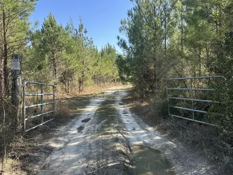 Tract #6317 Harris Stevenson Road, Bonifay, FL 32425