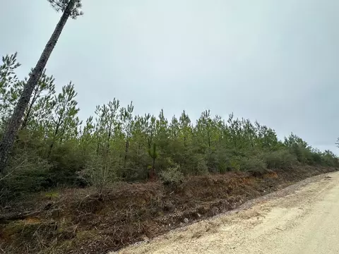 6418 Mattox Springs Road #N1, Caryville, FL 32427