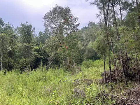 1558 John Eddy Ln, Ponce De Leon, FL 32455