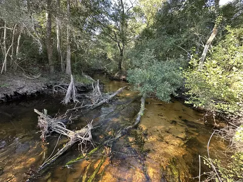 Tract #6201 Doyle Morgan Road, Defuniak Springs, FL 32433