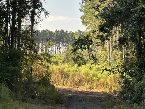 Tract #6201 Doyle Morgan Road, Defuniak Springs, FL 32433