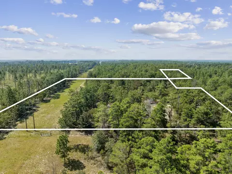 10 Acres White Dog Ln, Defuniak Springs, FL 32433