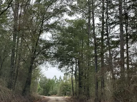 Tract #6418 S Bryant Bay Road, Caryville, FL 32427