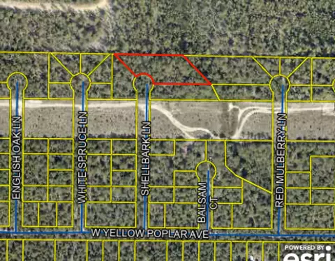 1 Acre Shellbark Ln, Defuniak Springs, FL 32433