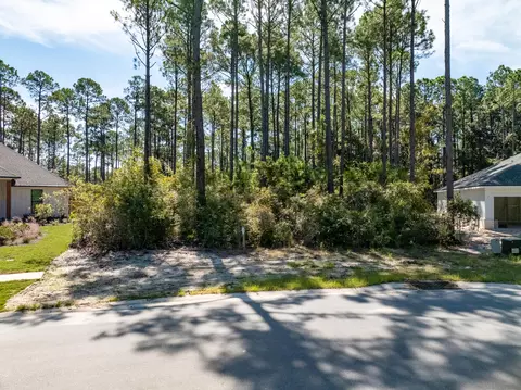 lot37 E Captain Fritz Way, Freeport, FL 32439 photo 27