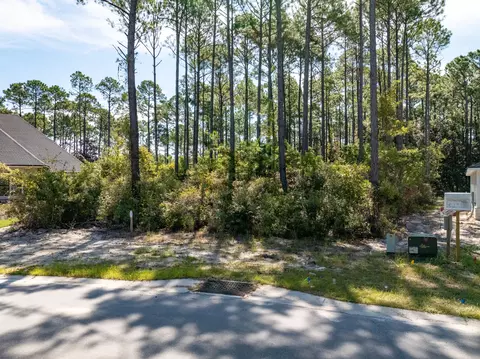 lot37 E Captain Fritz Way, Freeport, FL 32439 photo 26