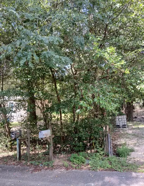 0 Benjamin St, Crestview, FL 32536 photo 4