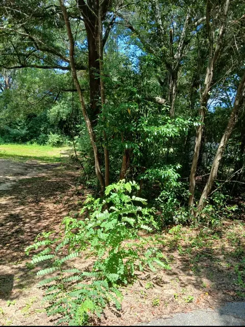 0 Benjamin St, Crestview, FL 32536 photo 2