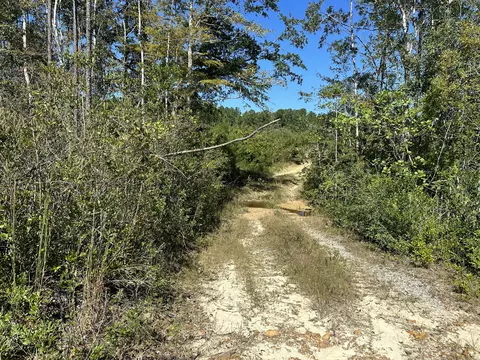 Parcel B Millside Road #<><, Laurel Hill, FL 32567 photo 9