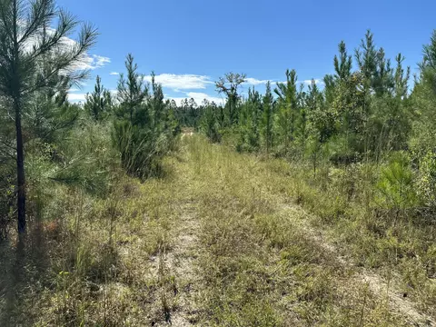 Parcel B Millside Road #<><, Laurel Hill, FL 32567 photo 1