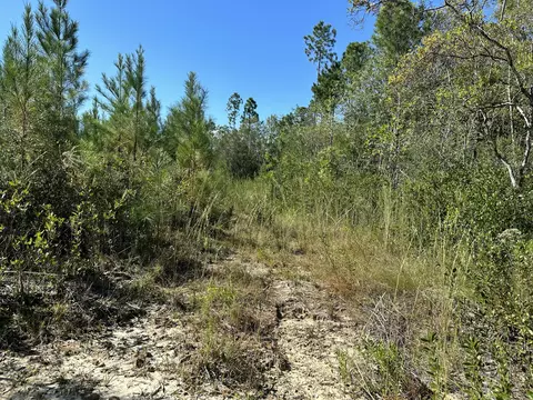 Parcel B Millside Road #<><, Laurel Hill, FL 32567 photo 8