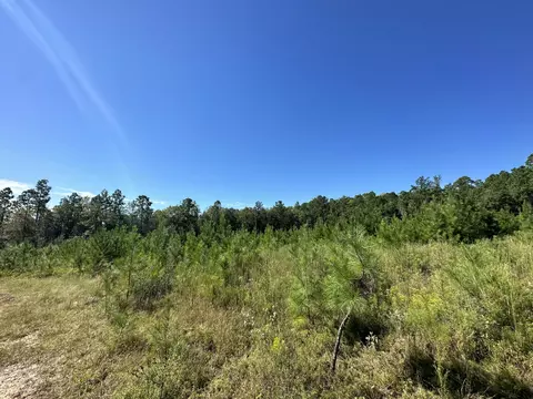 Parcel B Millside Road #<><, Laurel Hill, FL 32567 photo 6