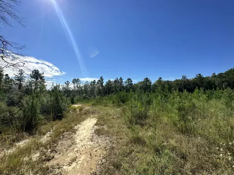 Parcel B Millside Road #<><, Laurel Hill, FL 32567 photo 3