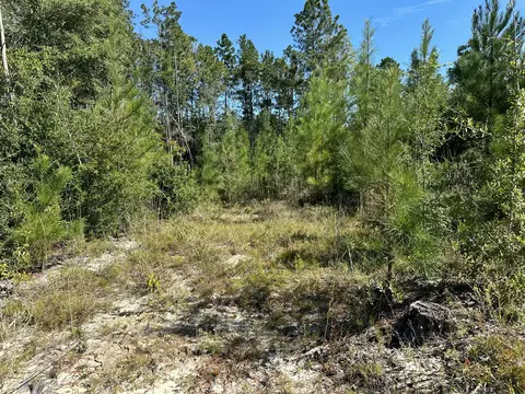 Parcel B Millside Road #<><, Laurel Hill, FL 32567 photo 10