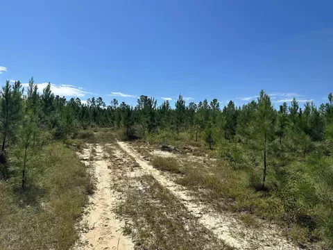 Parcel B Millside Road #<><, Laurel Hill, FL 32567 photo 4