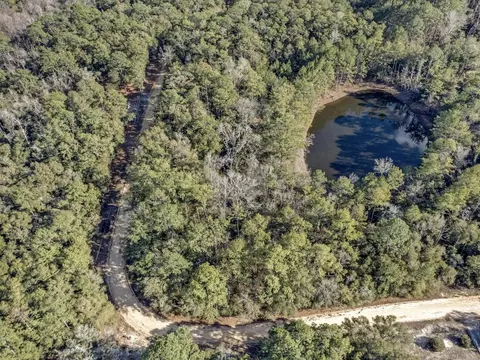 lot25 Blue Creek Rd, Ponce De Leon, FL 32455
