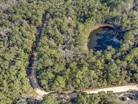 lot24 Blue Creek Rd, Ponce De Leon, FL 32455