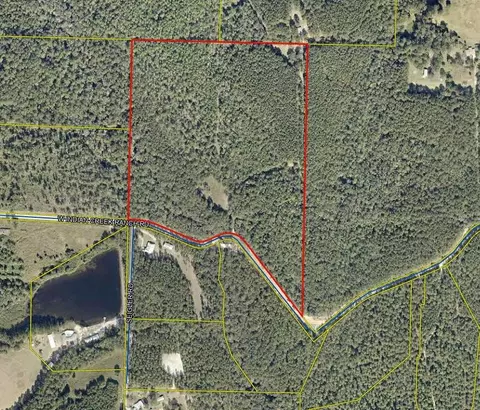 48 Acres Indian Creek Ranch Rd, Defuniak Springs, FL 32435