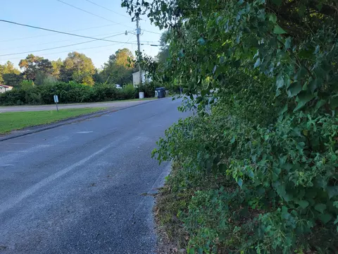 253 Argyle Church Rd, Defuniak Springs, FL 32433