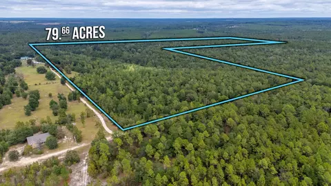 79 Acres Bucking Up Rd, Laurel Hill, FL 32567
