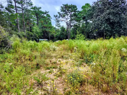 lot21 Cottage Hill Dr, Defuniak Springs, FL 32433