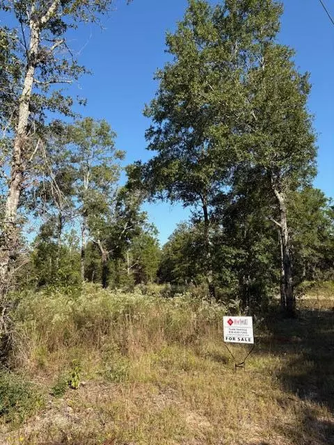 lot48 Howlin Rd, Defuniak Springs, FL 32433