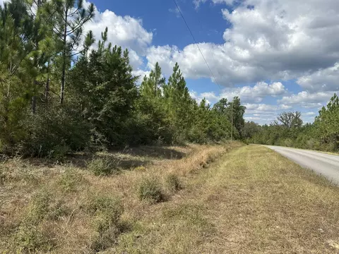 Parcel A New Ebenezer Road, Laurel Hill, FL 32567