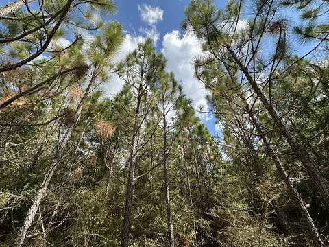 Parcel C New Ebenezer Road, Laurel Hill, FL 32567