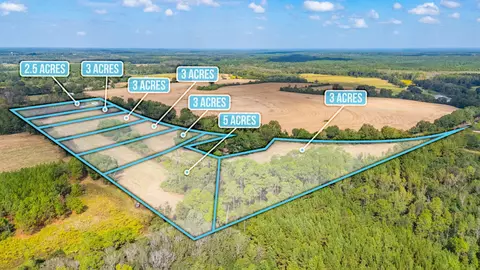 5 65 Acre Prescott Rd, Florala, AL 36442