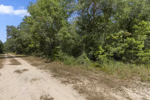 14874 Us-331 Bus, Freeport, FL 32439 photo 8
