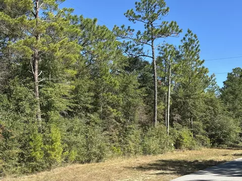 Parcel A Bear Head Road, Crestview, FL 32539 photo 2