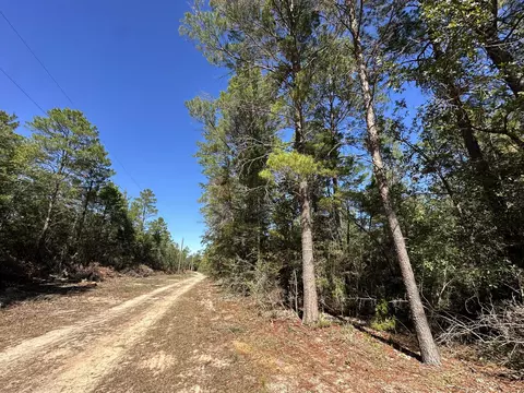 Parcel A Bear Head Road, Crestview, FL 32539