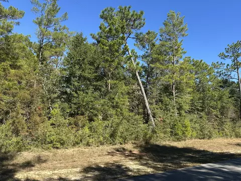 Parcel A Bear Head Road, Crestview, FL 32539 photo 5