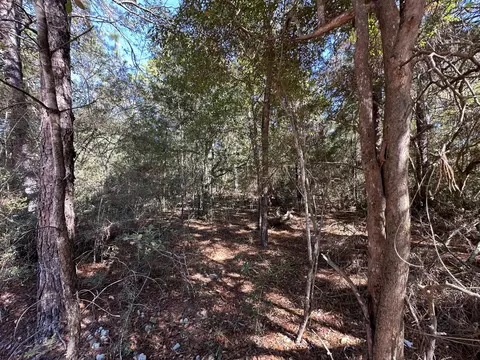 Parcel A Bear Head Road, Crestview, FL 32539 photo 4