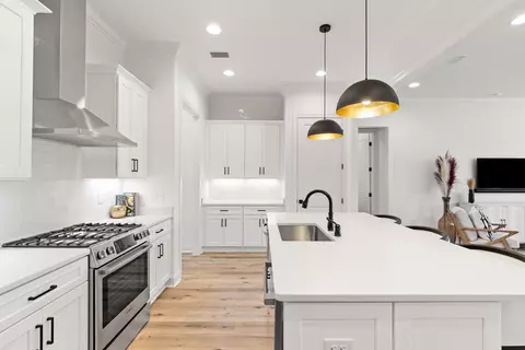 Kitchen - 23 Green Heron St #LOT 54, Watersound, FL 32461 photo 5 of 6