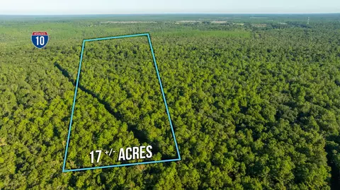 17 Acres Lyons Pl, Holt, FL 32564