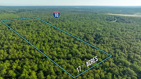 17 Acres Lyons Pl, Holt, FL 32564 photo 2