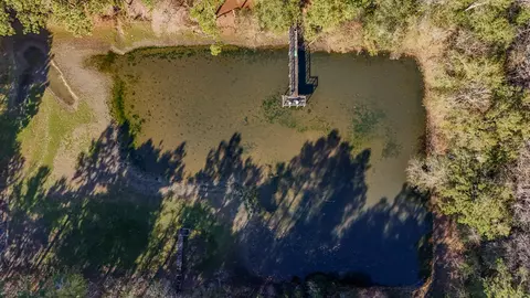 View/Area - 1981 Parrish Rd, Florala, AL 36442 photo 12 of 14