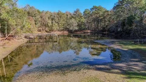 View/Area - 1981 Parrish Rd, Florala, AL 36442 photo 11 of 14