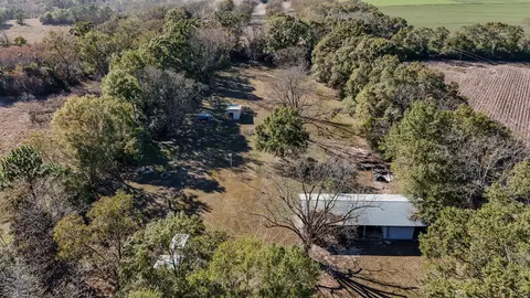 View/Area - 1981 Parrish Rd, Florala, AL 36442 photo 4 of 14