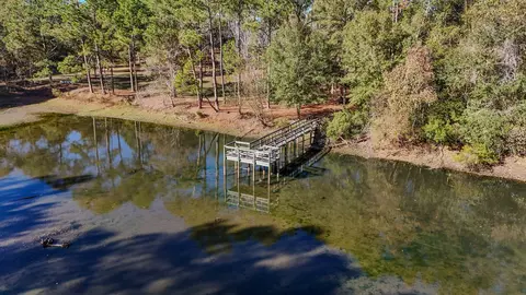 View/Area - 1981 Parrish Rd, Florala, AL 36442 photo 1 of 14