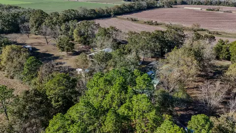 View/Area - 1981 Parrish Rd, Florala, AL 36442 photo 3 of 14