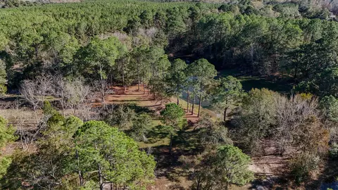 View/Area - 1981 Parrish Rd, Florala, AL 36442 photo 13 of 14