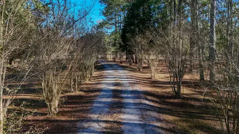 Other - 1981 Parrish Rd, Florala, AL 36442 photo 12 of 14